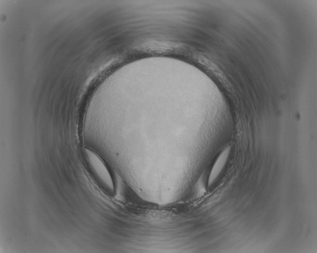 X0000064760399200603131414