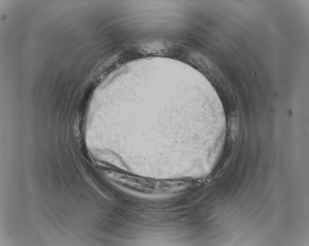 X0000064760408200603131413