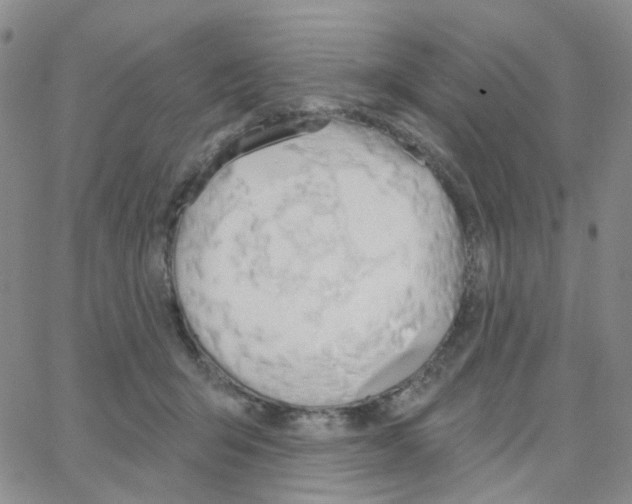 X0000064760415200603131413
