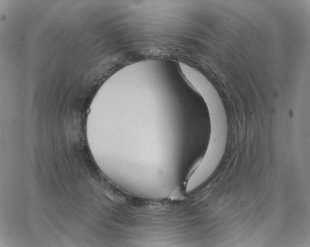 X0000064760416200603131413