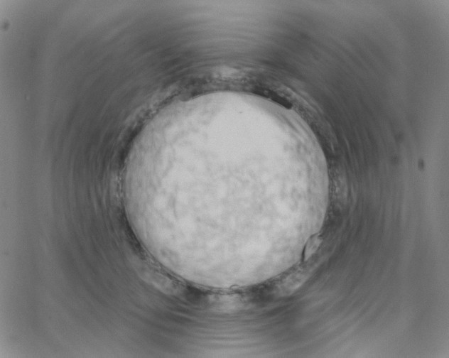 X0000064760419200603131413