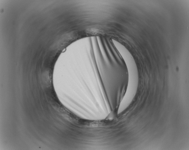 X0000064760420200603131413
