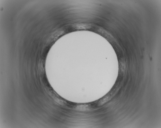 X0000064760422200603131413