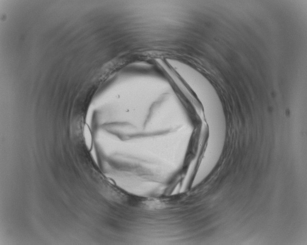 X0000064760425200603131413