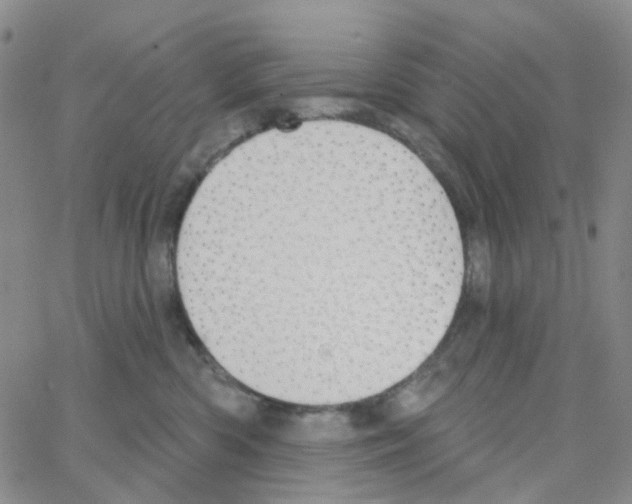 X0000064760426200603131413