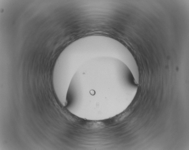 X0000064760427200603131413
