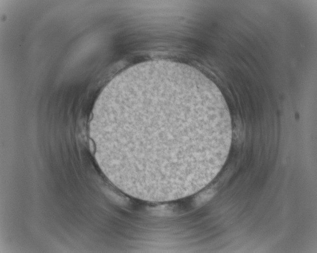X0000064760430200603131413