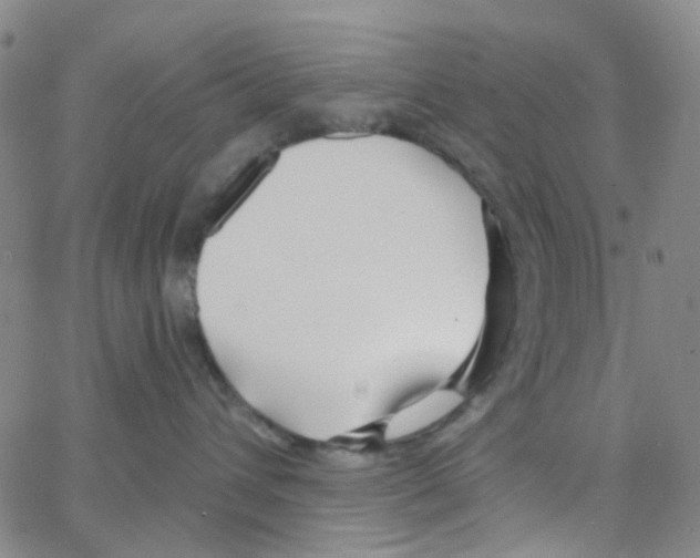 X0000064760432200603131413