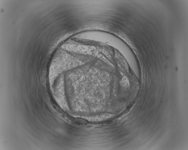 X0000064760434200603131412