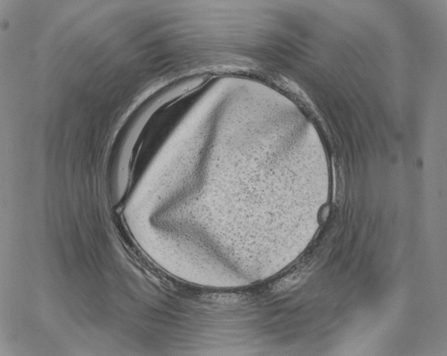 X0000064760435200603131412