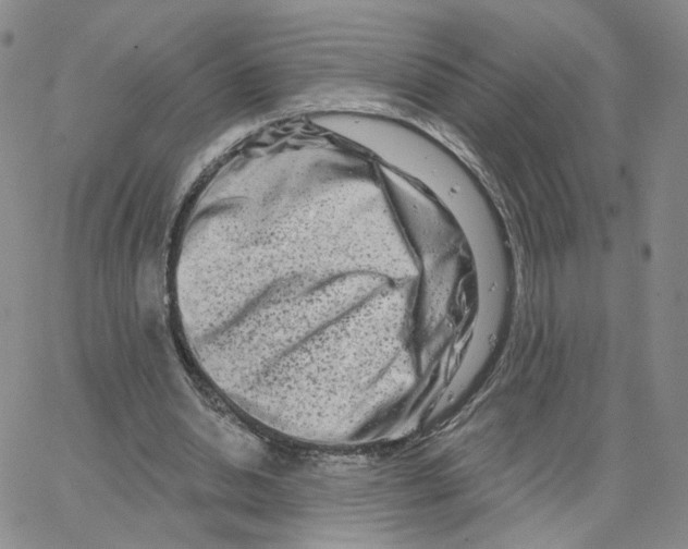 X0000064760438200603131412