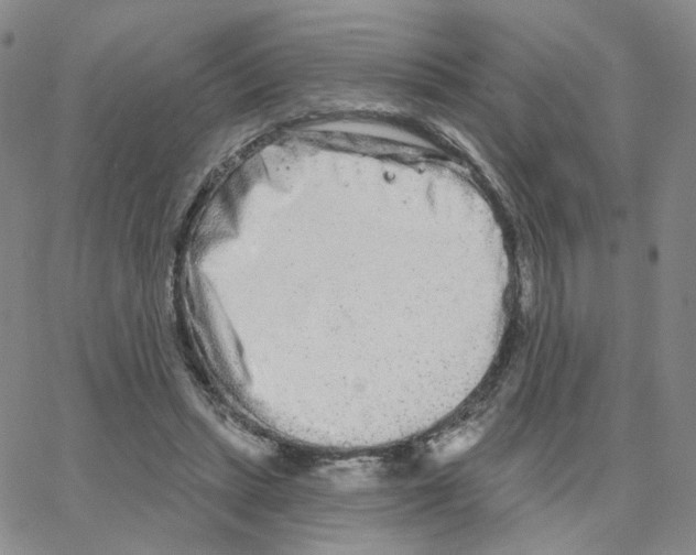 X0000064760447200603131413