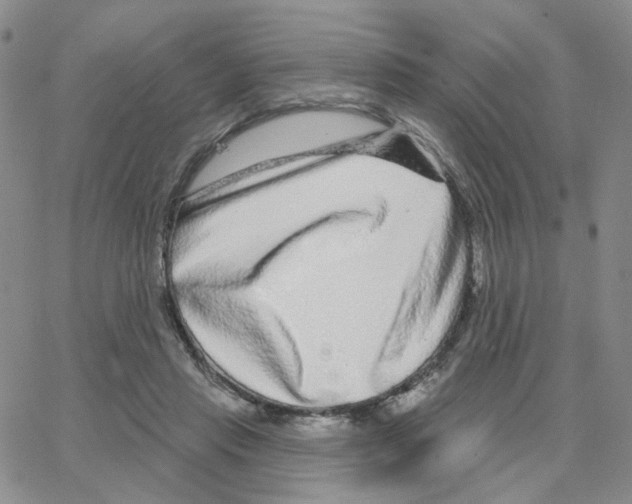 X0000064760453200603131413