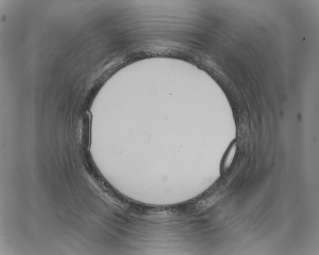 X0000064760454200603131413