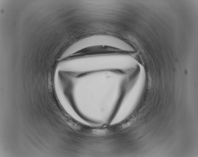X0000064760457200603131413