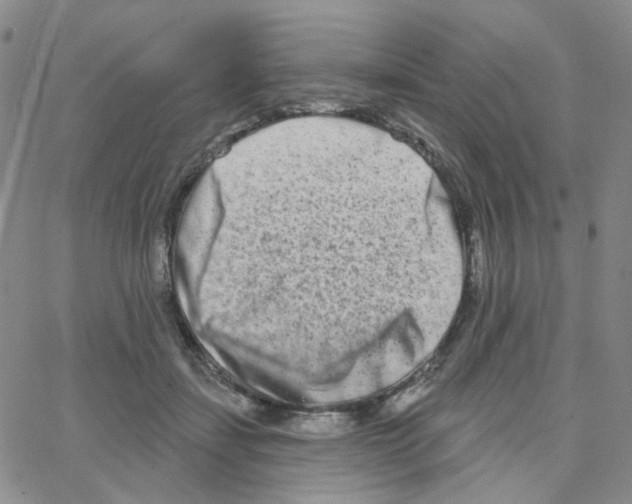 X0000064760459200603131413