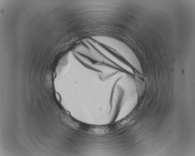 X0000064760466200603131413