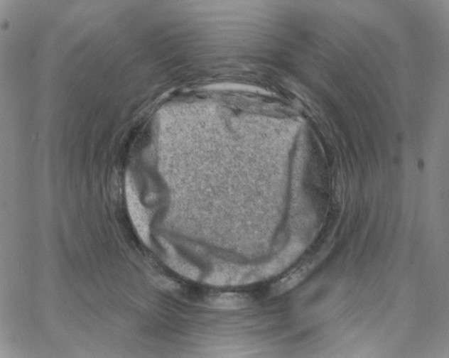 X0000064760467200603131413