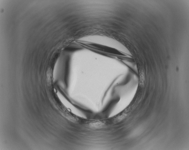 X0000064760468200603131413