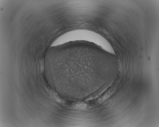 X0000064760471200603131413