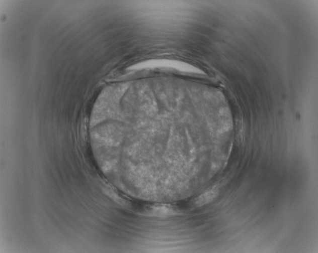 X0000064760475200603131413
