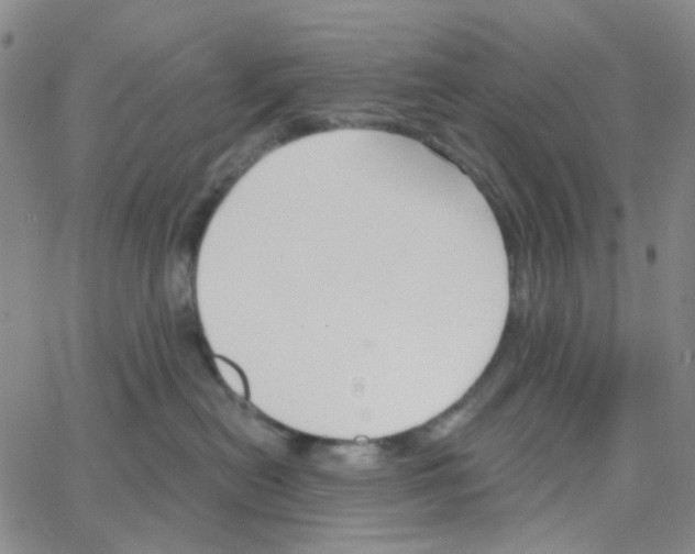X0000064760478200603131413