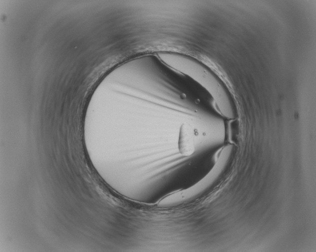 X0000064760481200603131412
