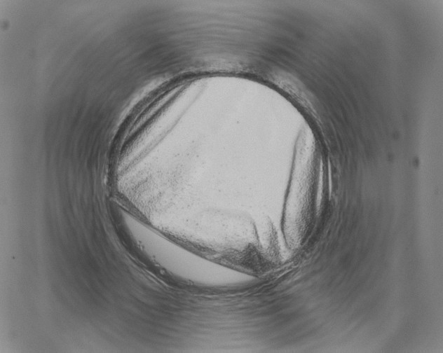 X0000064760483200603131412