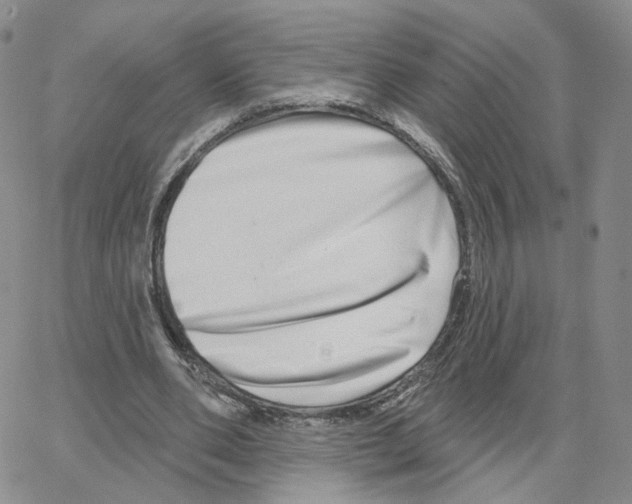 X0000064760486200603131412