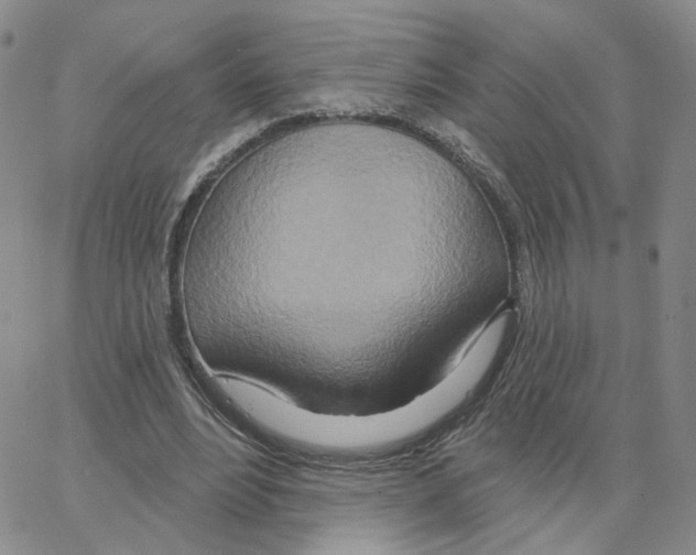 X0000064760488200603131412