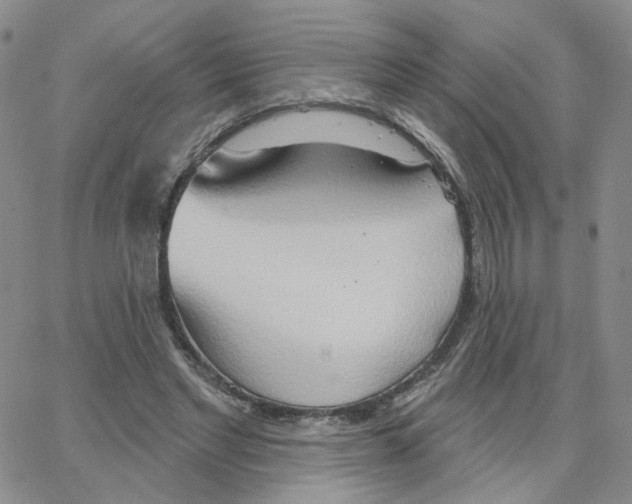 X0000064760493200603131412