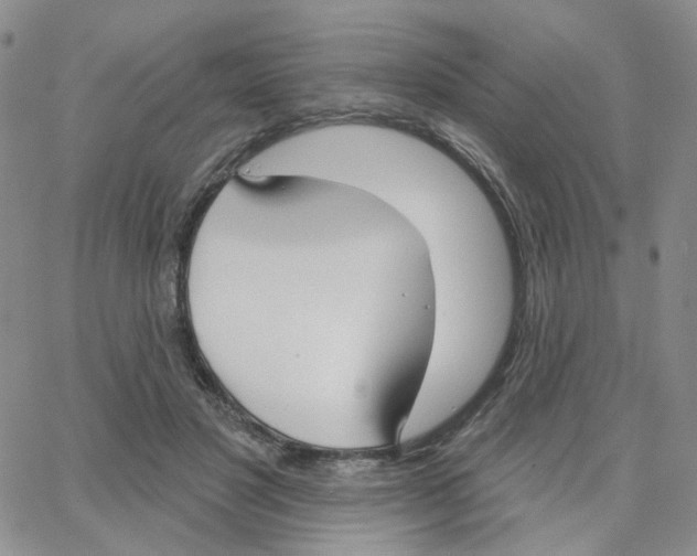 X0000064760501200603131412