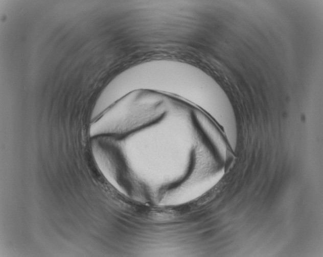 X0000064760510200603131412