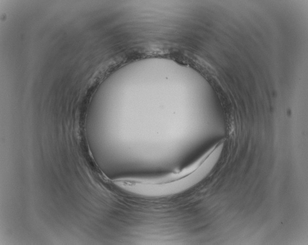 X0000064760512200603131412