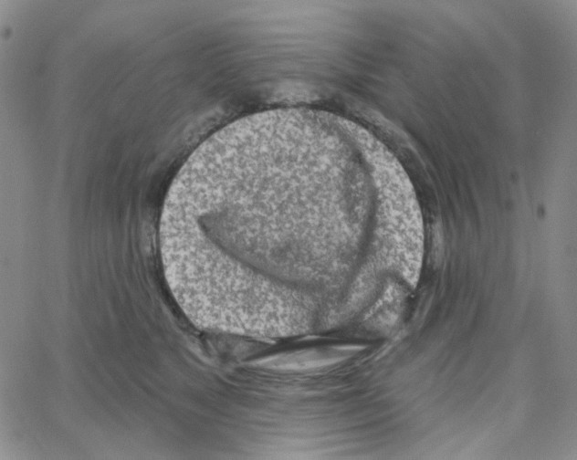 X0000064760517200603131412