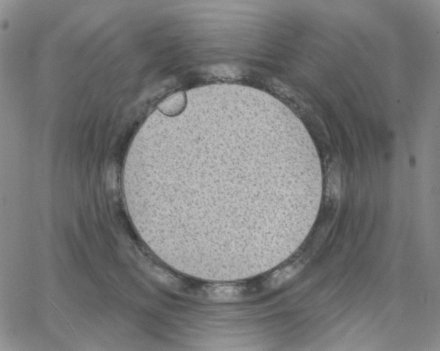 X0000064760518200603131412