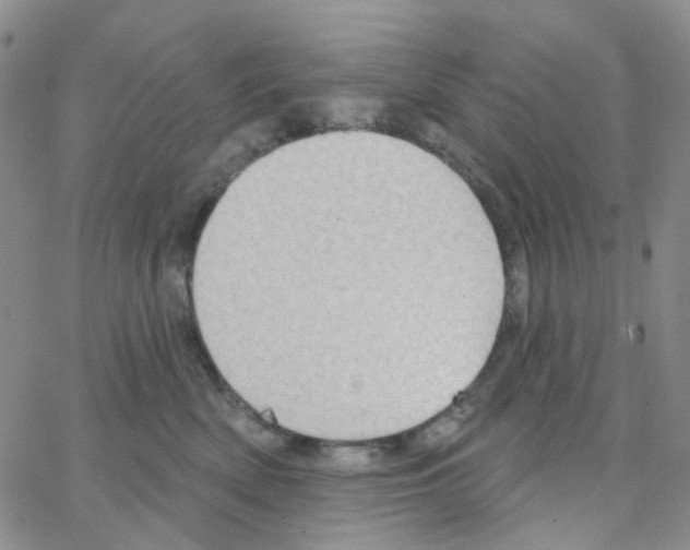 X0000064760522200603131412