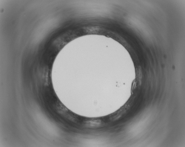 X0000064760525200603131412