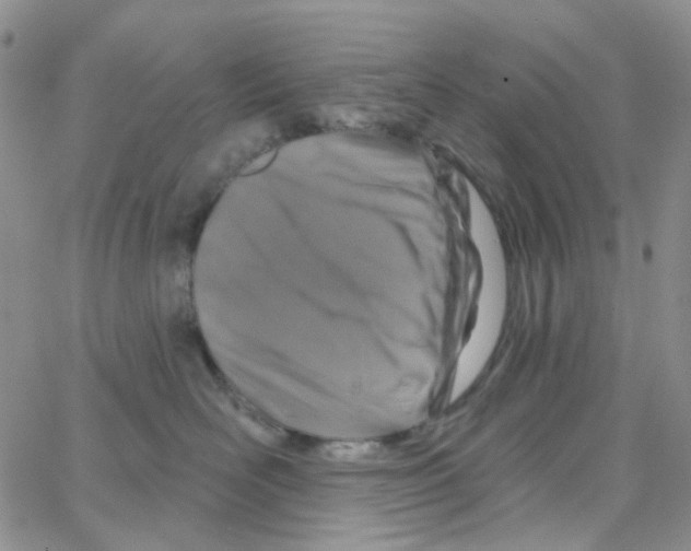 X0000064760526200603131412