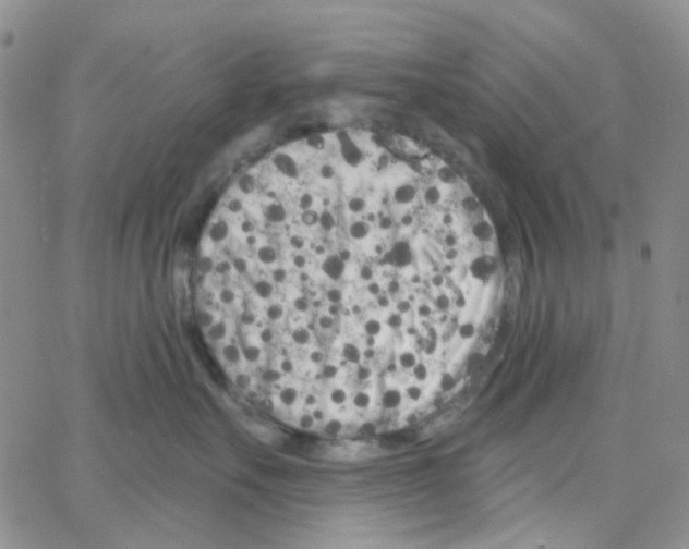 X0000064760527200603131412
