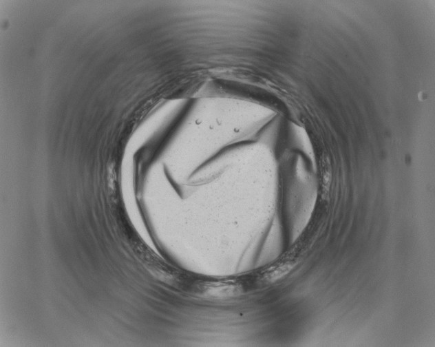 X0000064760555200603131411
