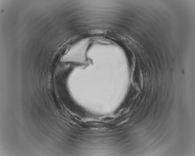 X0000064760556200603131411