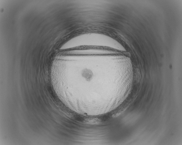 X0000064760557200603131411