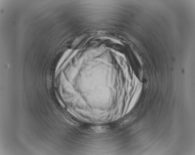 X0000064760558200603131411