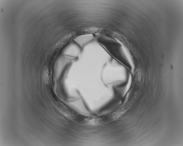 X0000064760564200603131411