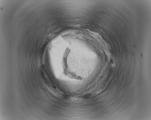 X0000064760568200603131411