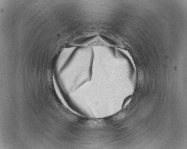X0000064760571200603131411