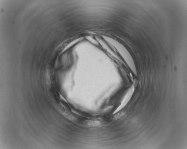 X0000064760572200603131411