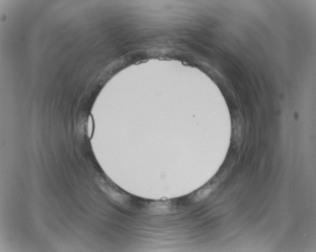 X0000064760574200603131411