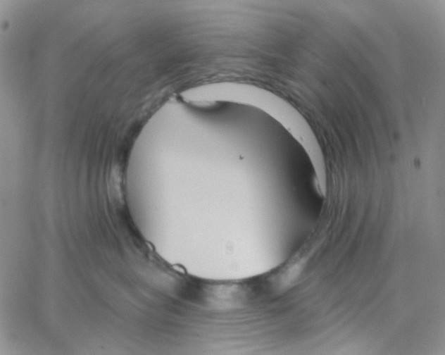 X0000064760575200603131411